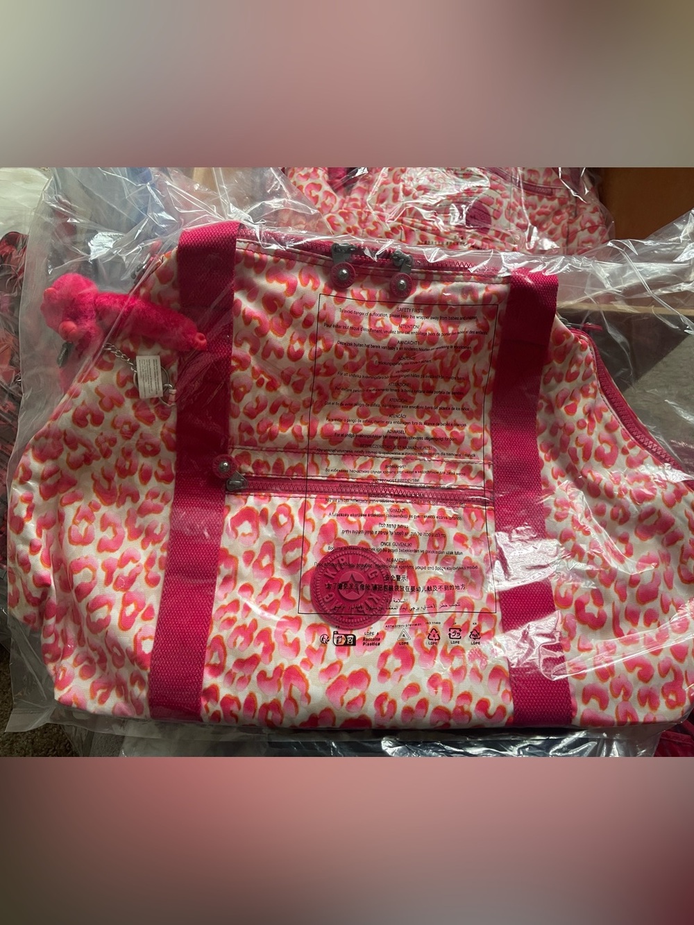 Kipling Bag